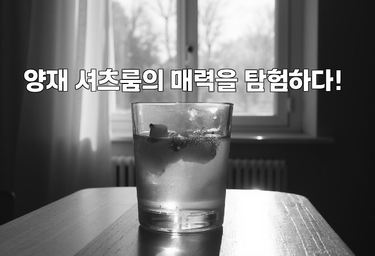 양재 셔츠룸의 매력을 탐험하다!