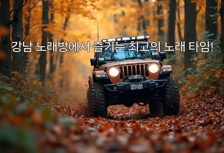 강남 노래방에서 즐기는 최고의 노래 타임!