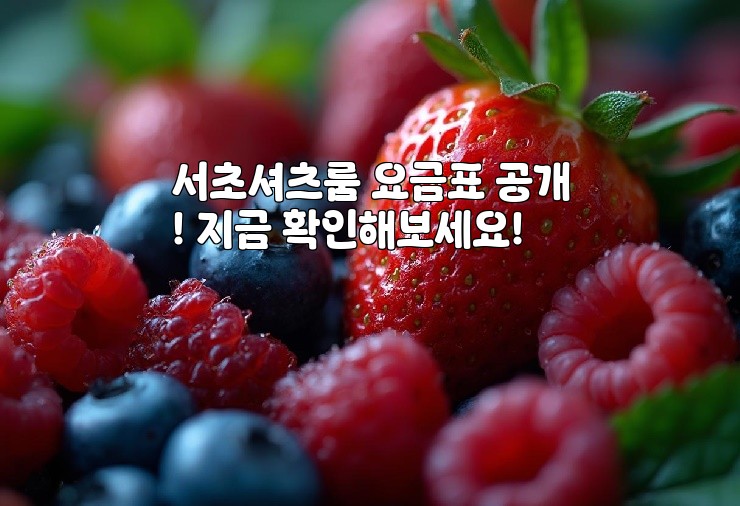 서초셔츠룸 요금표 공개! 지금 확인해보세요!