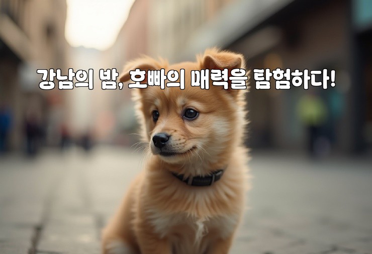 강남의 밤, 호빠의 매력을 탐험하다!