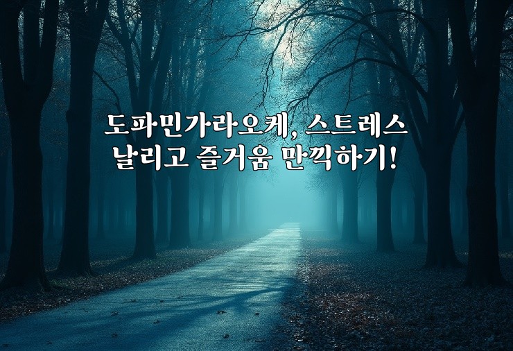 도파민가라오케, 스트레스 날리고 즐거움 만끽하기!